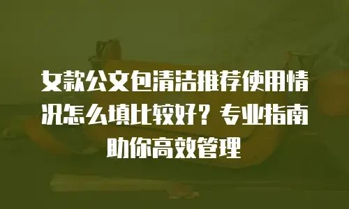 女款公文包清洁推荐使用情况怎么填比较好？专业指南助你高效管理