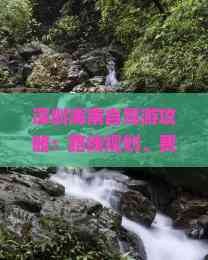 深圳海南自驾游攻略：路线规划、费用预算全解析