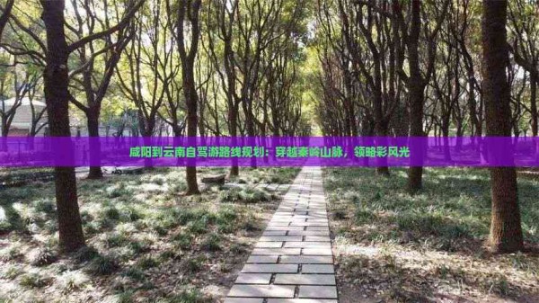 咸阳到云南自驾游路线规划：穿越秦岭山脉，领略彩风光