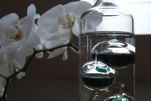 品牌碟子陶瓷，传承与创新，打造家居艺术新风尚