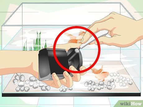 Step 2 检查过滤装置。