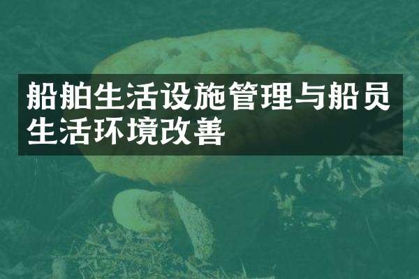船舶生活设施管理与船员生活环境改善