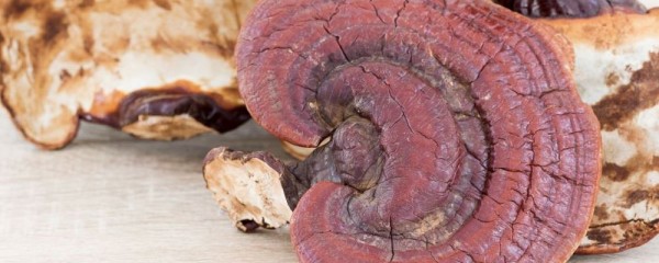 男生想要补什么该怎么吃 那些药品可以补肾 怎么搭配食材会更有效果