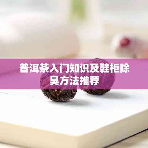 普洱茶入门知识及鞋柜除臭 推荐