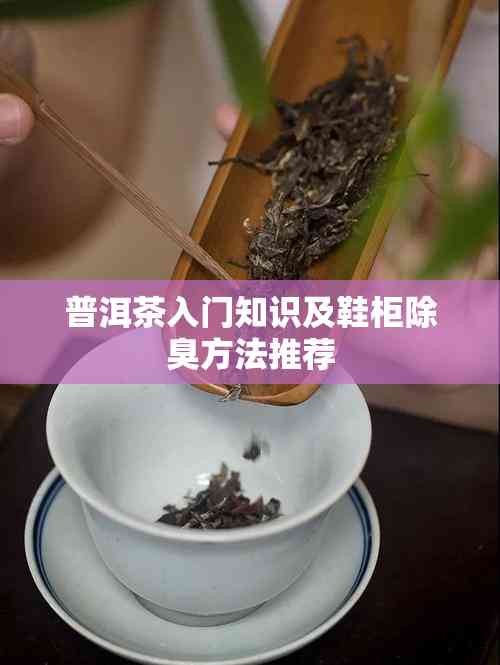 普洱茶入门知识及鞋柜除臭 推荐