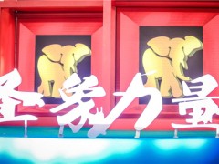 圣象