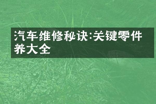 汽车维修秘诀:关键零件保养大全