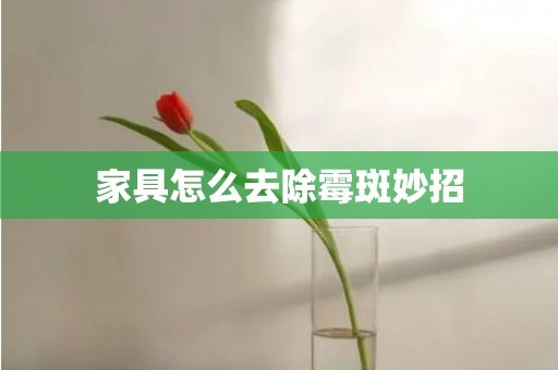 家具怎么去除霉斑妙招