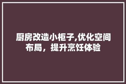 厨房改造小柜子,优化空间布局，提升烹饪体验
