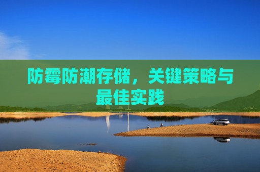 防霉防潮存储，关键策略与最佳实践