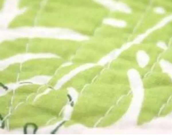 生活百科小竅門：衣服棉被發黴不用丟，教你簡單幾招去除黴菌！ - 文章圖片