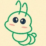 虫子先生的时光