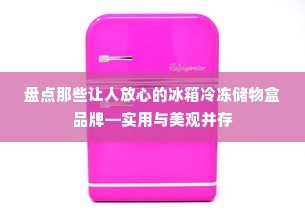 盘点那些让人放心的冰箱冷冻储物盒品牌—实用与美观并存