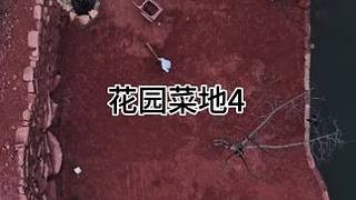 重生之我在乡下打造花园菜地4#荒野建造 #我的乡村生活 #新农人计划2024 #解压 #田园生活