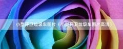 小型环卫垃圾车图片（小型环卫垃圾车图片高清）