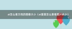 ai怎么看文档的图像大小（ai里面怎么查看图片大小）