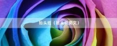 抬头纸（抬头纸英文）