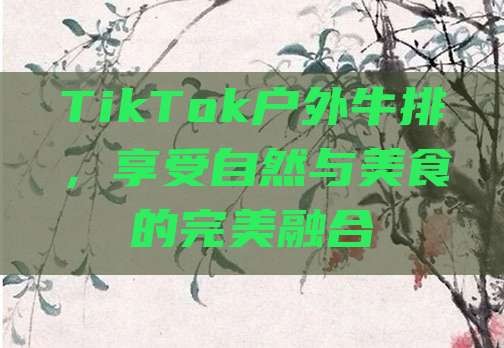 TikTok户外牛排,享受自然与美食的完美融合-发泄吧