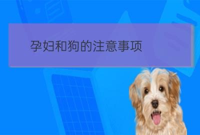 照顾狗病情注意事项:养小狗的注意事项