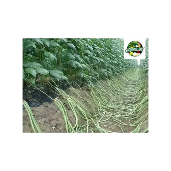 东莞凤岗食材配送服务站