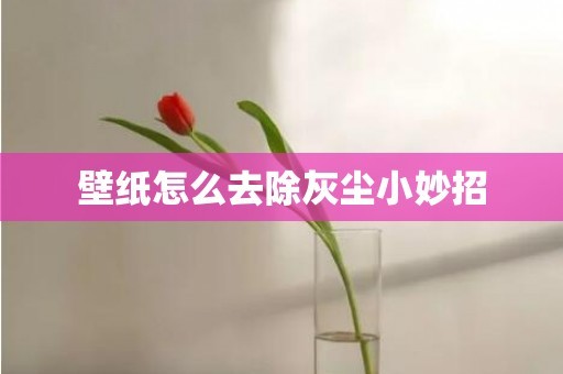 壁纸怎么去除灰尘小妙招