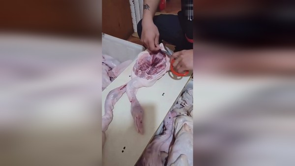 难怪饭店后厨不让进，过来催菜往屋里一看，老板良心何在