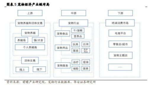 成都汇阳投资关于宠物经济崛起，消费升级驱动增长