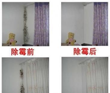 墙上的霉斑怎么去除,彻底去除墙上的霉斑的方法