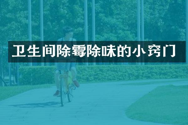 卫生间除霉除味的小窍门