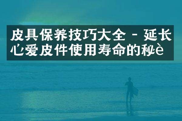 皮具保养技巧大全