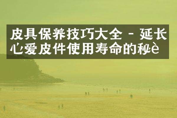 皮具保养技巧大全 - 延长心爱皮件使用寿命的秘诀