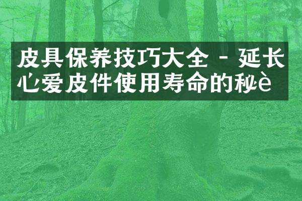 皮具保养技巧大全 - 延长心爱皮件使用寿命的秘诀