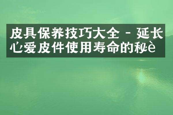 皮具保养技巧大全 - 延长心爱皮件使用寿命的秘诀