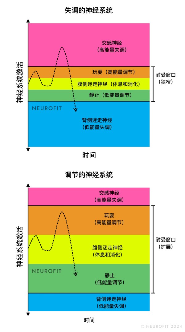 两幅图表显示了狭窄与宽阔的“容忍窗”,说明当神经系统平衡得当时,更能有效应对压力事件。