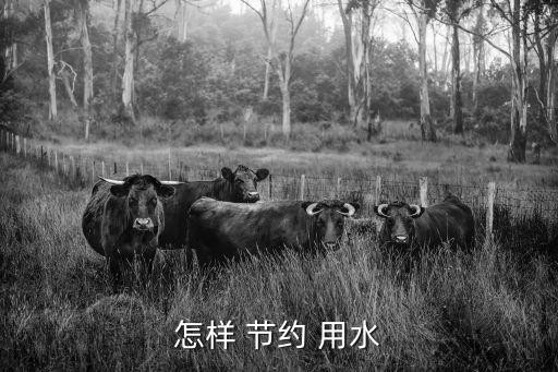怎样 节约 用水