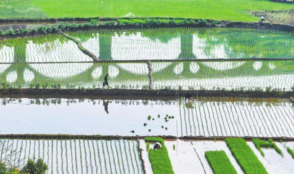 四川发布2024年节约用水工作要点 水资源大省的“节水经”「相关图片」
