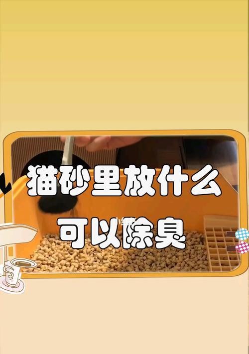 如何解决宠物猫的便便臭味问题（从饮食、清洁到空气净化器）