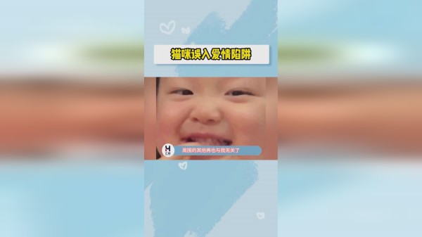 猫：只看了你一眼，周围的其他再也与我无关