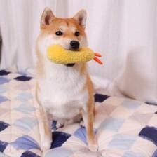 鱼尾纱