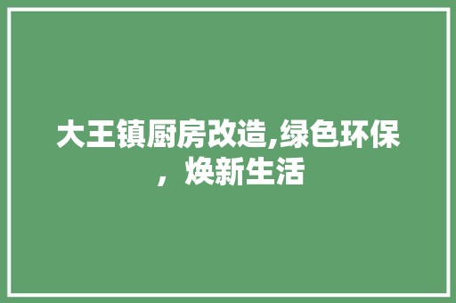 大王镇厨房改造,绿色环保，焕新生活