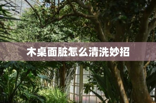 木桌面脏怎么清洗妙招