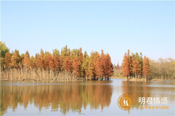 形容心情好的句子,表达心情愉悦开心的文案!