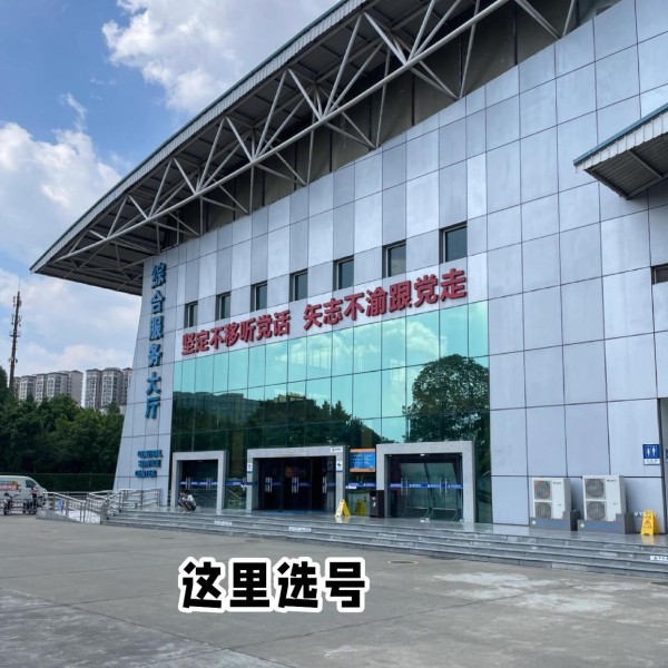 只要120！成都新能源车上牌照要花多少钱 车行提供代办牌照服务，但需支付约200元服务费。然而，个人建议自行办理，因为流程相对简单，两小时左右就能完成，也是一种生活体验。 在办理前，请按照以下步骤提前准备： 1. 申报车辆：先在“四川税务app”上完成申报。 2. 预约上牌时间：在“蓉e行”公众号提前预约好。 3. 携带齐全的上牌手续：别忘了带上车行提供的所有上牌手续。 4. 携带身份证：别忘了带上购车本人的身份证。 接下来是具体的办理流程： 第一步：导航到成都郫都区-国宁村犀团路166号，进入大门后按指示右转，你会看到一个很小的蓝色篷篷《机动车参数登记》。在此，你需要提交车辆资料并等待查验签字。 第二步：把车开到第一验车区，期间需穿上反光背心并放置三角架供检查。这些设备都在后备箱里。 第三步：开到第二验车区让他们拍照登记。结束后，你需要在指定的亭子进行核验。 第四步：离开第二验车区，停车后，使用“蓉e行”扫描二维码取号排队，然后提交资料并获取选号单。 第五步：选号！拿着选号单到《综合服务大厅》C区的机器上，从50个选项中选择你心仪的车牌号，然后支付120元费用。 第六步：等待取车牌。一般半小时内，你选的车牌号就会出现在大屏幕上。之后，你可以拿到机动车登记证和机动车行驶证，并获取车牌。现场购买车牌外框需额外支付50元，若提前购买则无需额外花费。 以上就是上牌的全部流程！提车上牌，成都新能源攻略，车牌号随机选号上牌照。-有驾