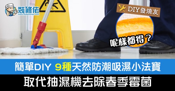 簡單DIY 9種天然防潮吸濕小法寶！取代抽濕機去除春季霉菌