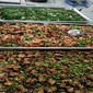 巴城镇工厂盒饭配送的价格图片