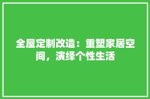 全屋定制改造：重塑家居空间，演绎个性生活 软装设计
