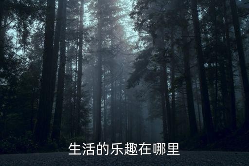 生活的乐趣在哪里
