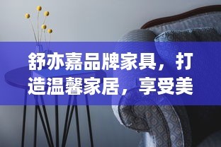 舒亦嘉品牌家具，打造温馨家居，享受美好生活