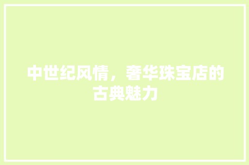 中世纪风情，奢华珠宝店的古典魅力 卧室