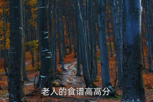 老人的食谱高高分
